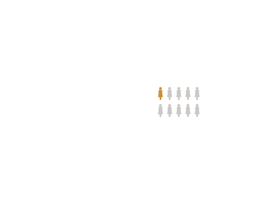 Etapa 10