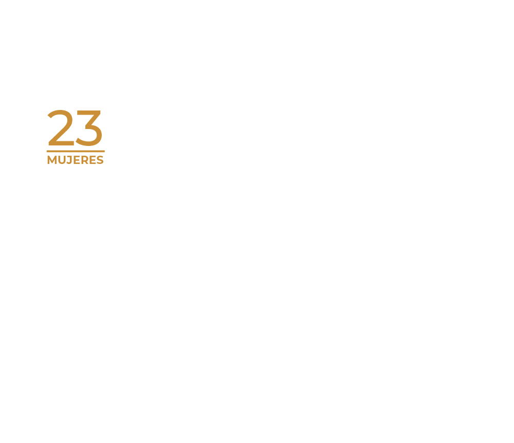 Etapa 02