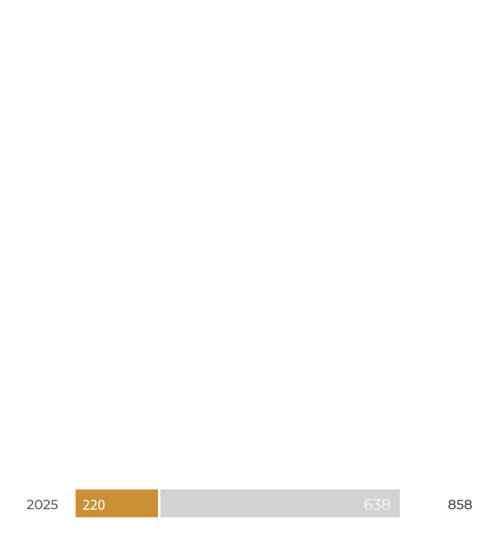 Etapa 10