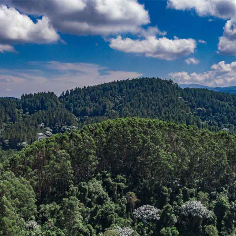 Día Mundial del Medio Ambiente: así está el planeta tras el año más caluroso jamás registrado
