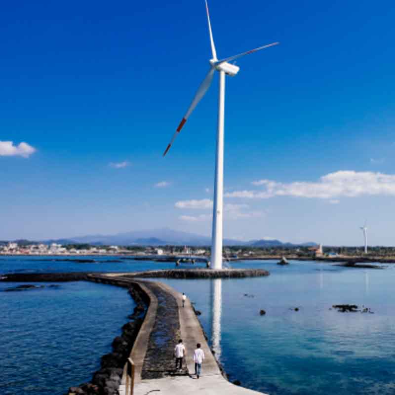 Día Mundial del Medio Ambiente: así está el planeta tras el año más caluroso jamás registrado