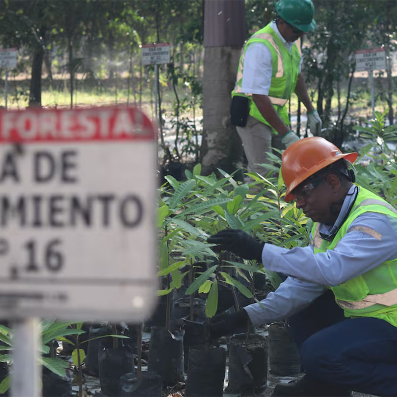 Día Mundial del Medio Ambiente: así está el planeta tras el año más caluroso jamás registrado