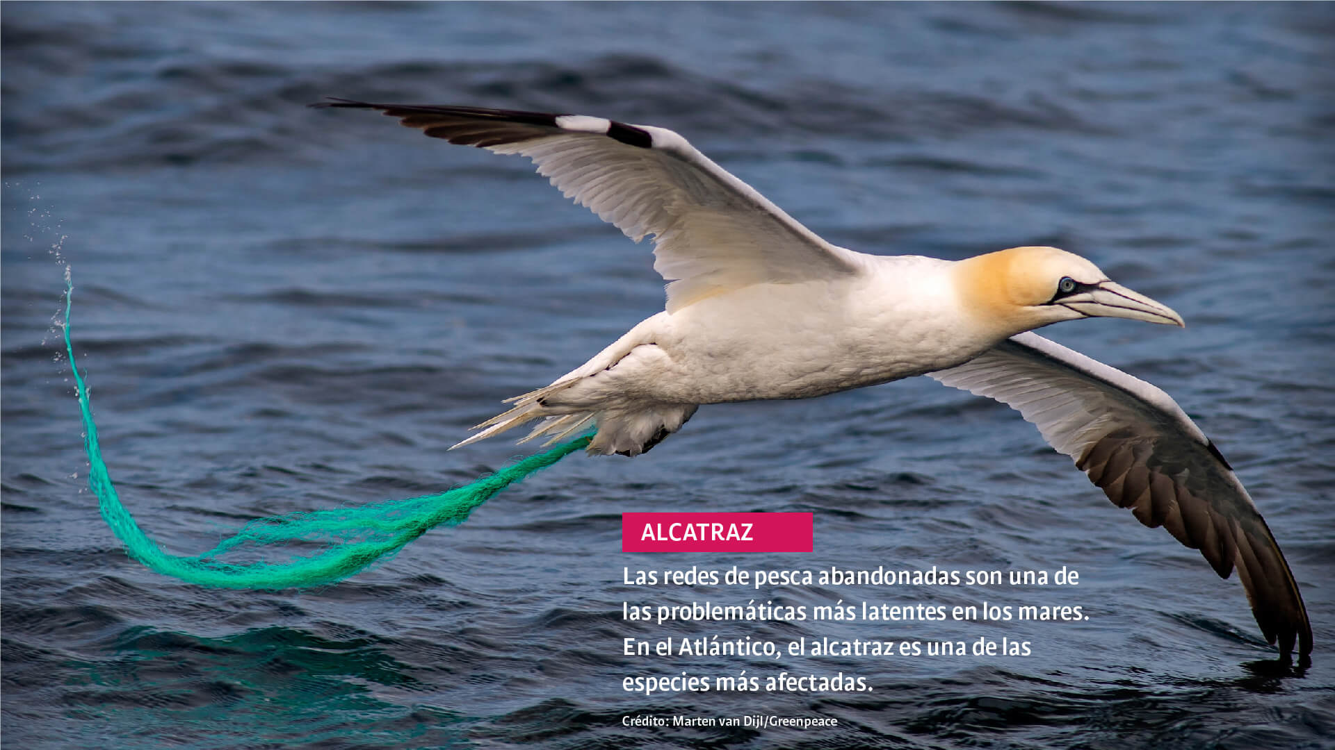 Día Mundial del Medio Ambiente: así está el planeta tras el año más caluroso jamás registrado