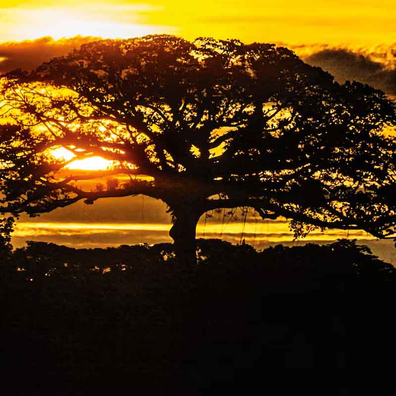 Especial Turismo por Colombia: una guía para recorrer el país de la belleza