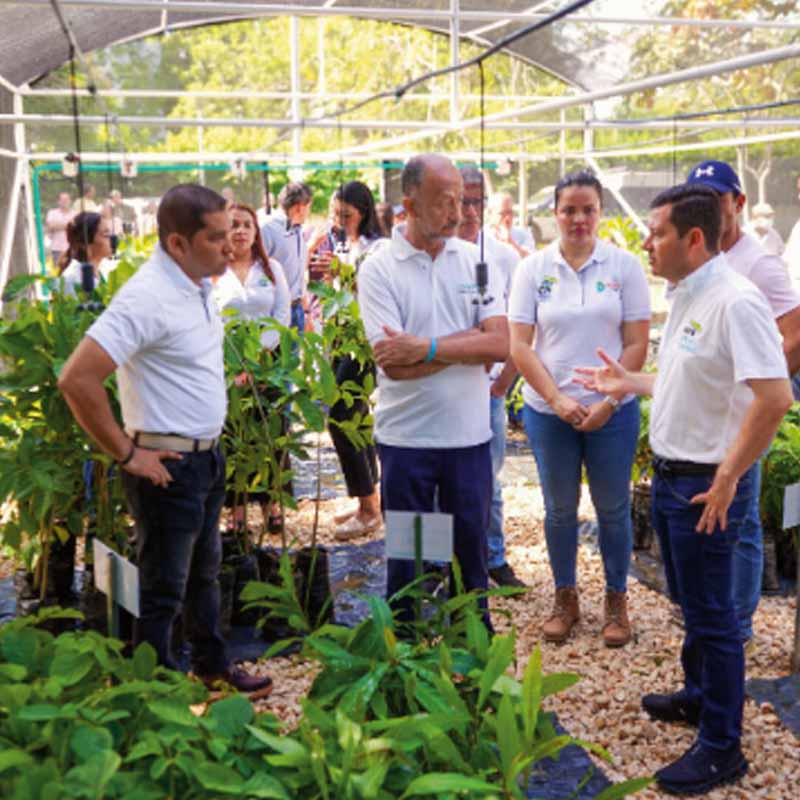 Montería y Córdoba: poder Caribe