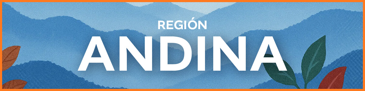 Banner Región Andina