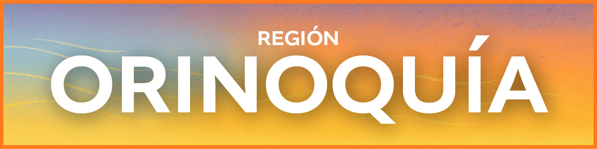 Banner Región Orinoquía